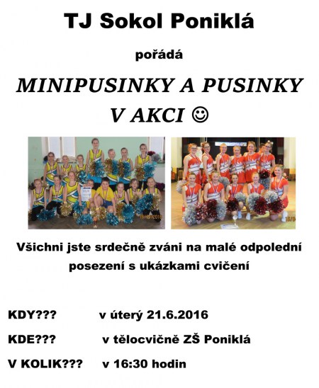 Pusinky