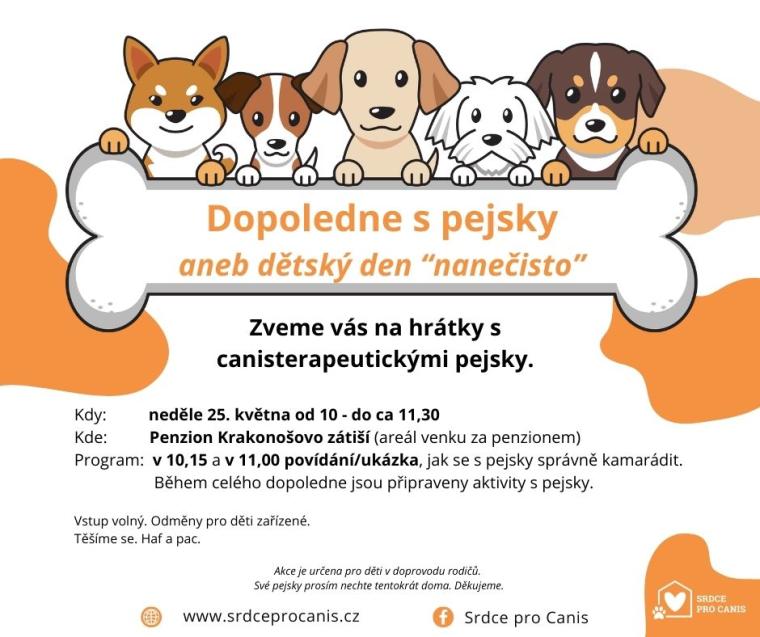 Dopoledne s pejsky