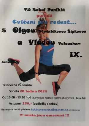 Šípková